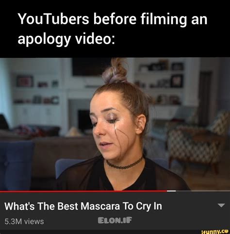 Apology video meme - Watson was later seen sitting with a guilty look on his face as the woman is heard saying, "I sense guiltiness, you naughty puppy. Did you eat Kiko's food?"D...